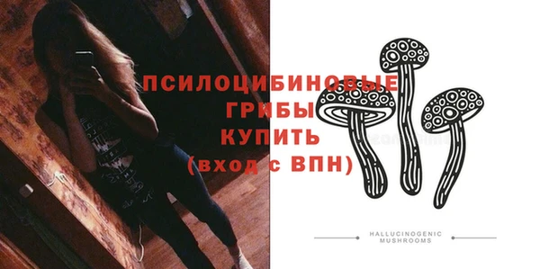 экстази Белокуриха